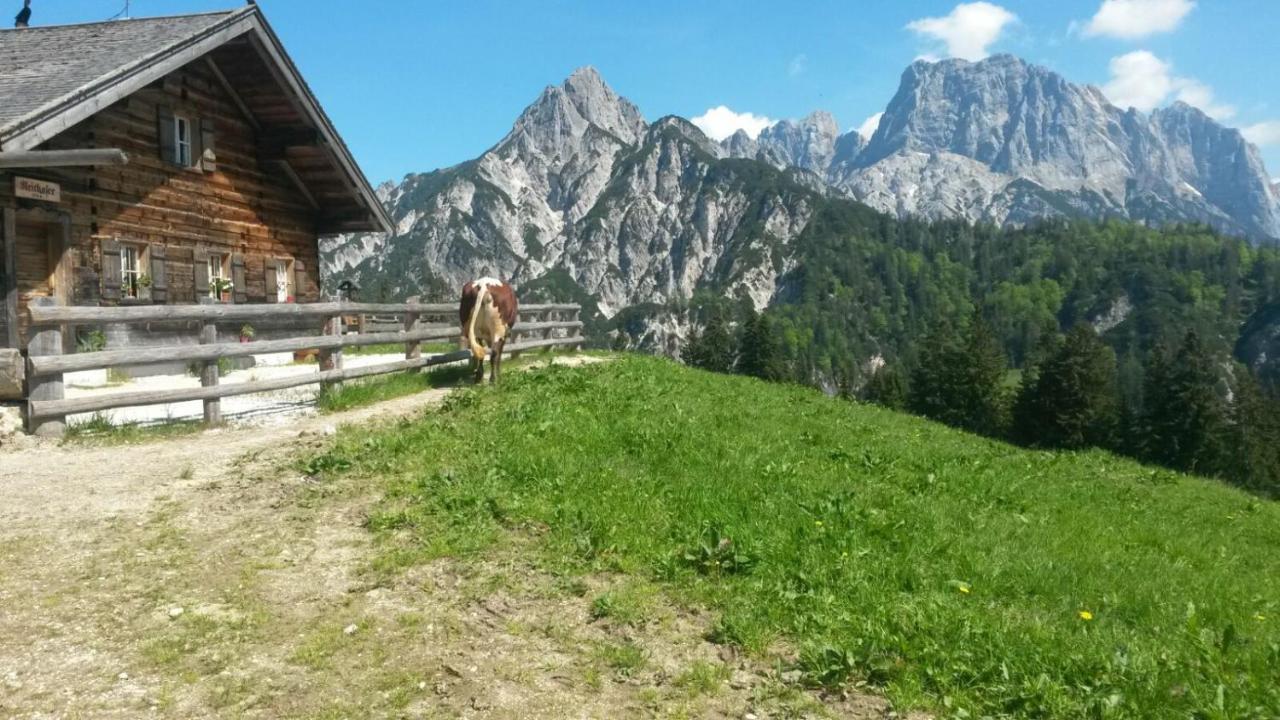 Gaestehaus Laercheck Apartment *