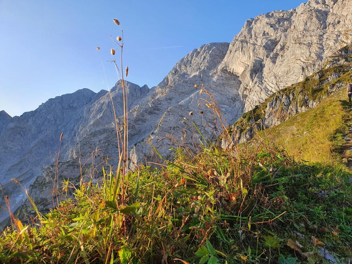 Gaestehaus Laercheck Apartment Berchtesgaden